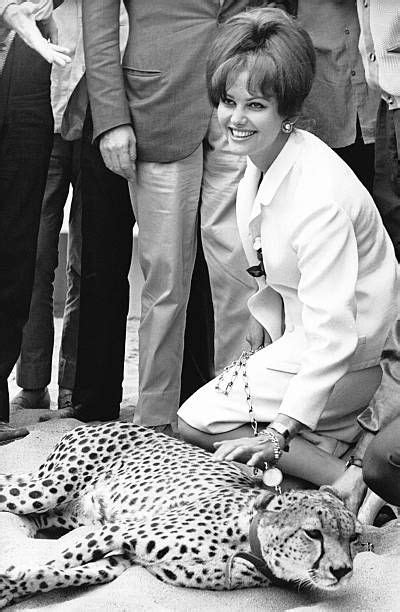 257 Claudia Cardinale The Leopard Photos & High Res Pictures | Claudia cardinale, Leopard ...