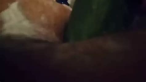 Sissy Anal Destruction Gay Rough Sex Amateur Porn Feat Janine Rosebud XHamster