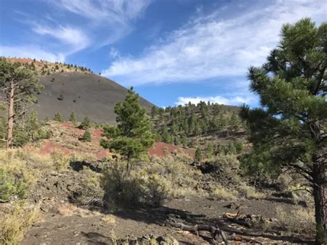 2023 Best 10 Trails and Hikes in Flagstaff | AllTrails