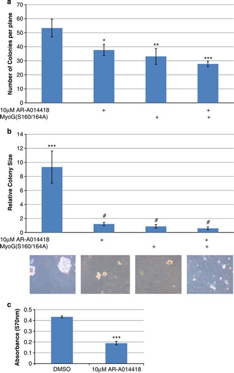 Soft Agarose Colony Formation And Mtt Cell Proliferation Assays A