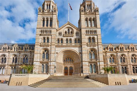 Natural History Museum - Hildrey Studio