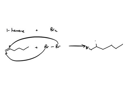 Solved What Products Would You Expect From Bromination Of The