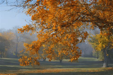 Crisp Autumn Day Photograph · Creative Fabrica