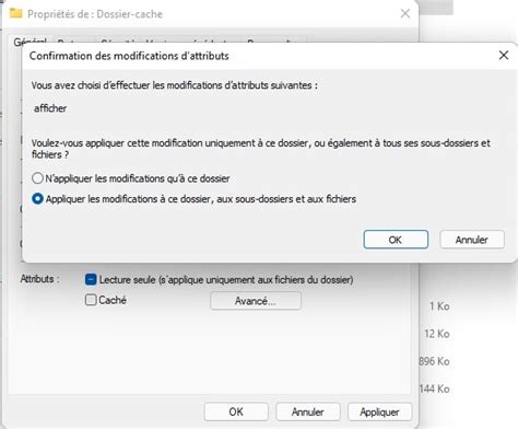 Comment Cacher Les Fichiers Et Les Dossiers Sous Windows Malekal