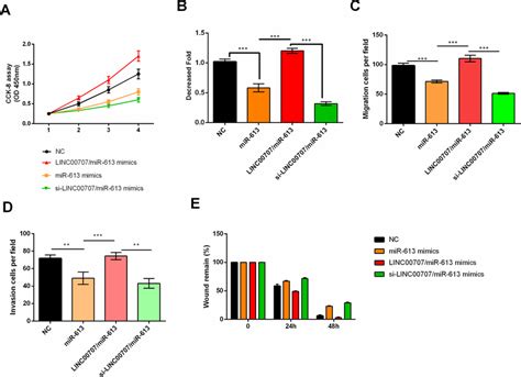 Linc Regulated Proliferation And Migration Of Glioma Cells By