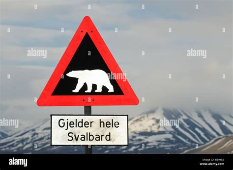 Road Danger Sign Warning About Polar Bear Attacks Longyearbyen Svalbard