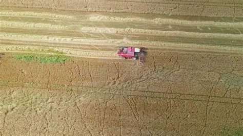 Aerial View Combine Harvester Harvesting On The Field Harvesting Wheat