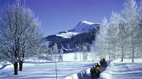 Scenic Austria Winter Wonderland For Single Travellers Leger Holidays