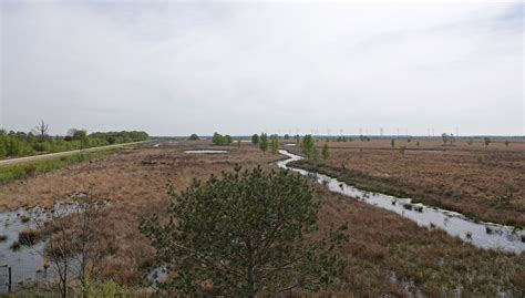 Bargerveen Natuurgebieden In Beeld