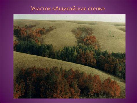 Заповедник «Оренбургский» - презентация онлайн