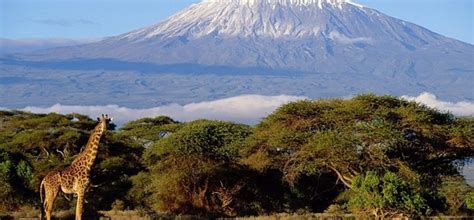 How To Visit Tanzanias Mount Kilimanjaro Without Climbing To The Summit