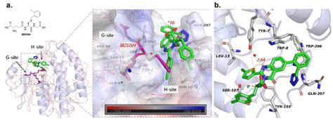 Structural Biology Platform Facilitates Discovery Of Glutathione S