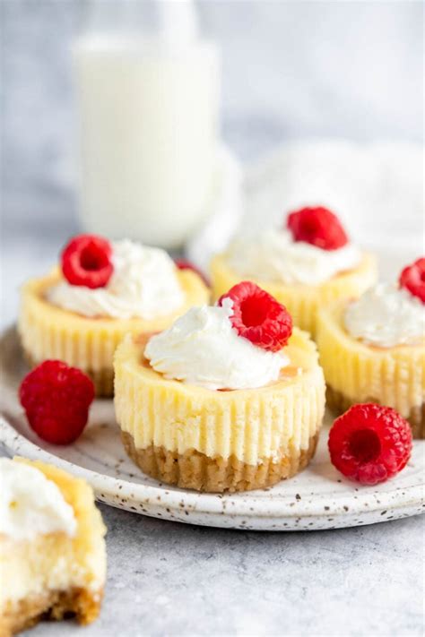 Raspberry Swirl Mini Cheesecakes Marsha S Baking Addiction