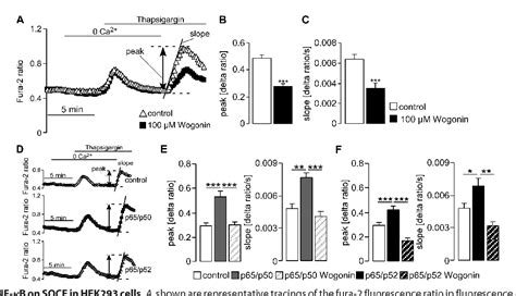 Figure 7 from Transcription Factor NF κB Regulates Expression of Pore