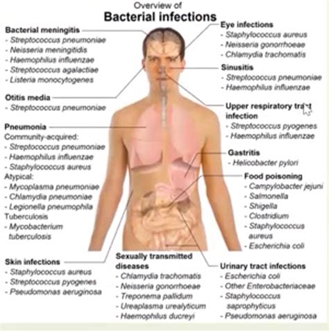 Microbiology Culturing Specimens 1 Flashcards Quizlet