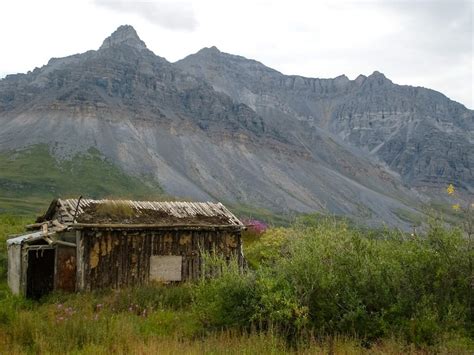 Northern Alaska Tour Company Tour The Arctic From Alaska Org