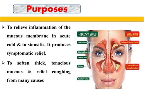 The Science Behind Steam Inhalation And Its Therapeutic Effects – APLNGK