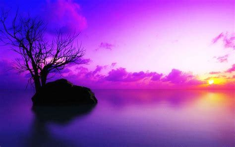 Purple Sunset Wallpapers - Wallpaper Cave