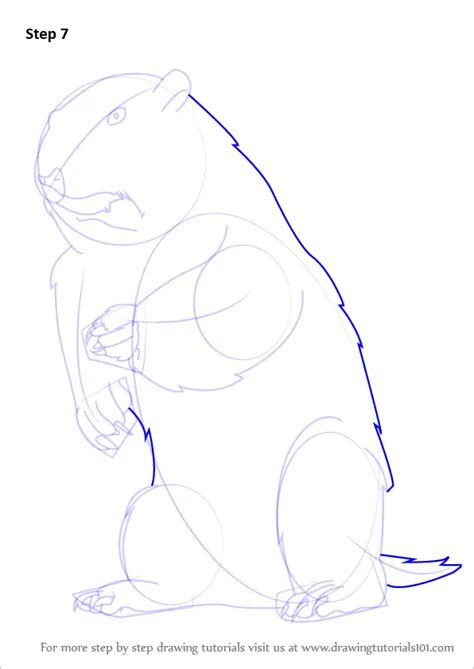 Step By Step How To Draw A Groundhog