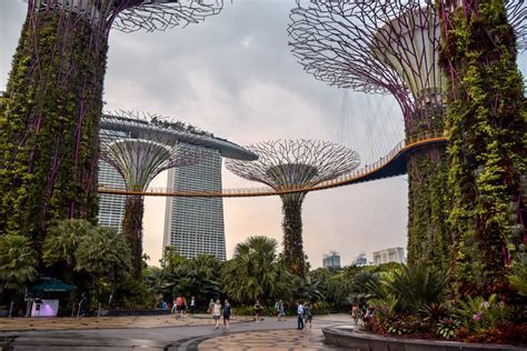 Gardens By The Bay Light Show In Singapore A Complete Guide