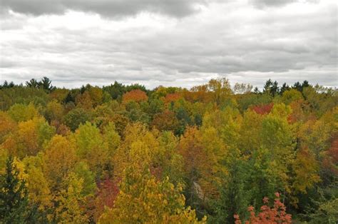 Wisconsin Fall Colors- 16 Top Spots for Epic Fall Foliage