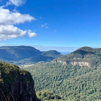 Daves Creek Circuit Walk Explore Photo Competition Queensland Walks