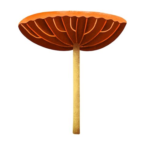 Premium Vector Mushroom Vector Illustrations Isolated On White Background