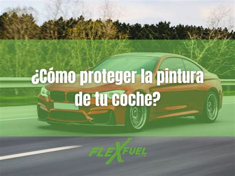 C Mo Proteger La Pintura De Tu Coche