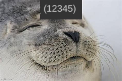 Satisfied Seal Meme - Imgflip