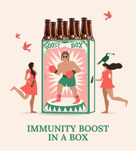 Kombucha Box Chill Kombucha