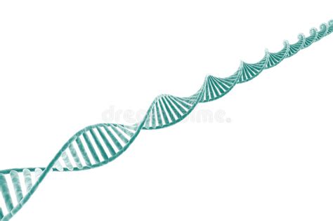 Dna Strand Clipart 20 Free Cliparts Download Images On Clipground 2024