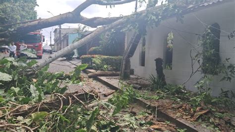 Forte Chuva Rvore Cai Sobre Casa E Bloqueia Rua Em Manaus