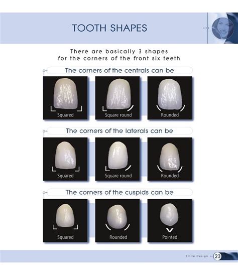 When Talking To Patients About Shape And Contour We Love This Form From