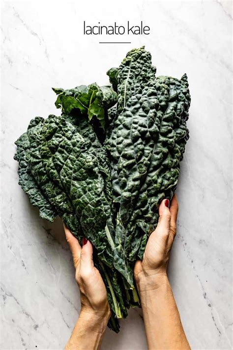 Types of Kale: 7 Common Varieties + How To Use Them