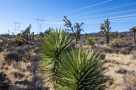 Conservation And Development Nevada S Unique Public Lands Process Draws Renewed Attention The