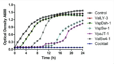 Growth Inhibition Of Vibrio Sp Va F3 By The Five Phages And The