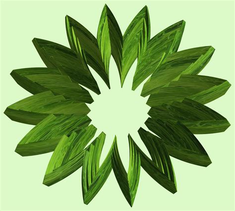 Free Images Structure Texture Leaf Flower Pattern Food Green