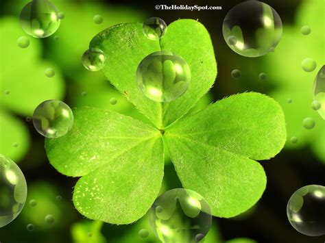 St Patrick S Day Desktop Background 2328827 HD Wallpaper