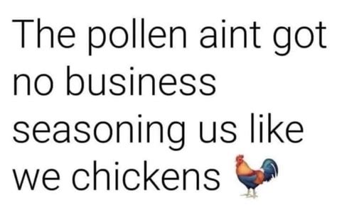 Gotta Giggle Memes Funnies Facebook In Allergies Quotes