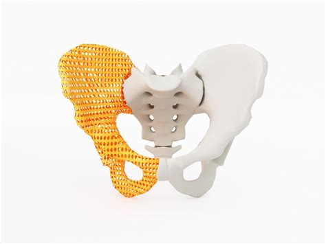 3d Printed Bones