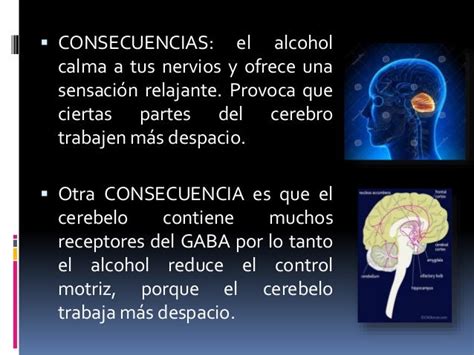 El Alcohol En Nuestro Cerebro