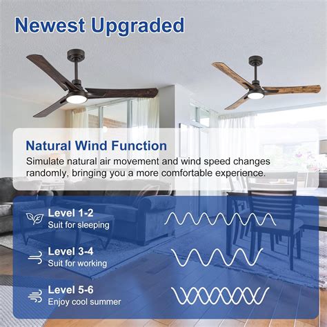 52 Inch Ceiling Fan with Light Remote Control,3 Double-side Blades,6