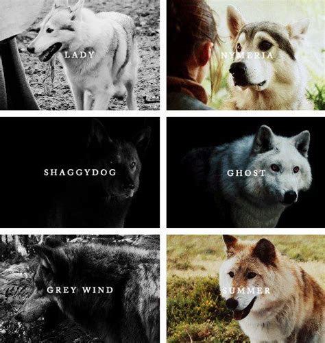 Game Of Thrones The Direwolves Game Of Thrones Quotes Dire Wolf Historical Fantasy