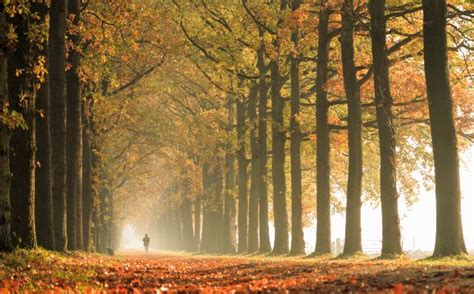 The Best Autumn Walks Near London Blog Zipcar