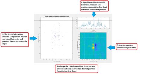 NMR Data Processing And Analysis File Exchange MATLAB Central