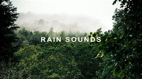 Relaxing Rain Sounds In The Jungle Rainforest Sounds Youtube