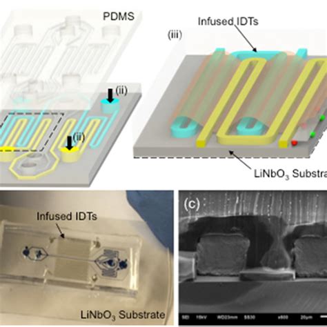 Design And Image Of The Self Aligned Saw Based Microfluidic Device A