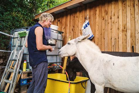 Tiergest Tzte Therapie Tiere Helfen Heilen Natur Ich