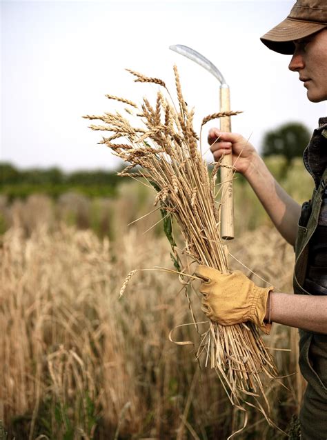 Rewilding, Remembering • Mad Agriculture • Regenerative Farming