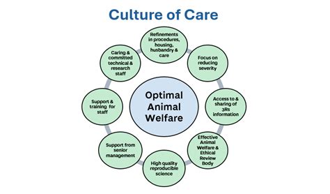 Our Culture Of Care In Animal Research University Of Dundee Uk